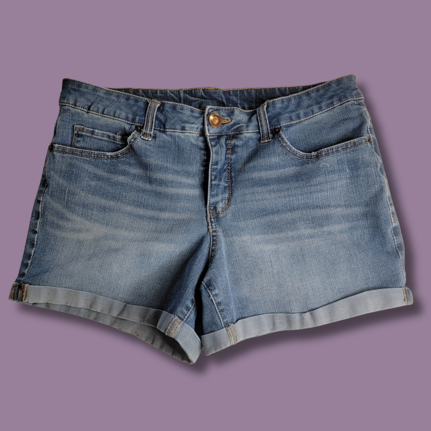 Time & Tru Jean Shorts, Blue Wash, Size 14