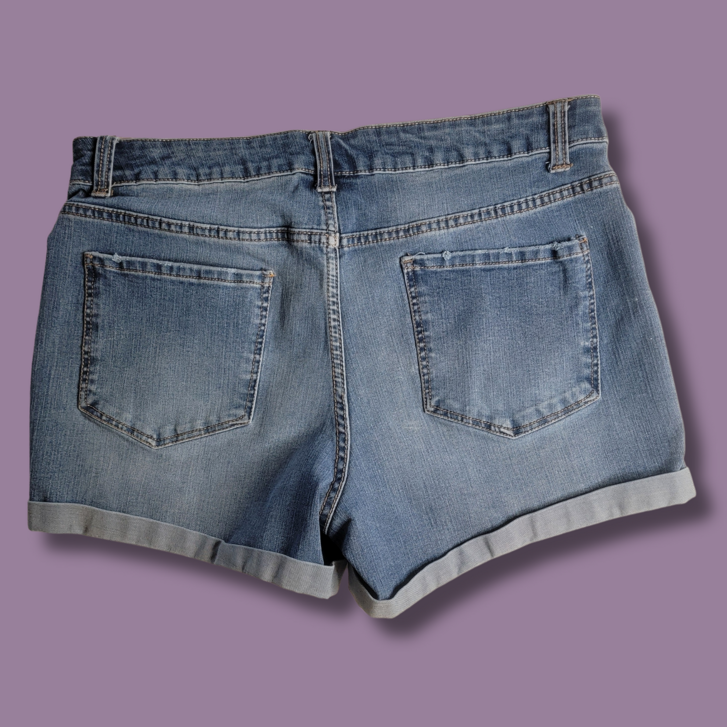Time & Tru Jean Shorts, Blue Wash, Size 14