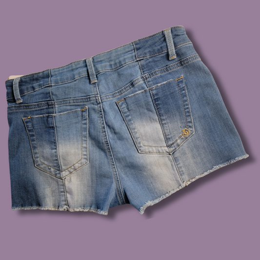 Indigo Rein Jean Shorts, Button up, Size 9