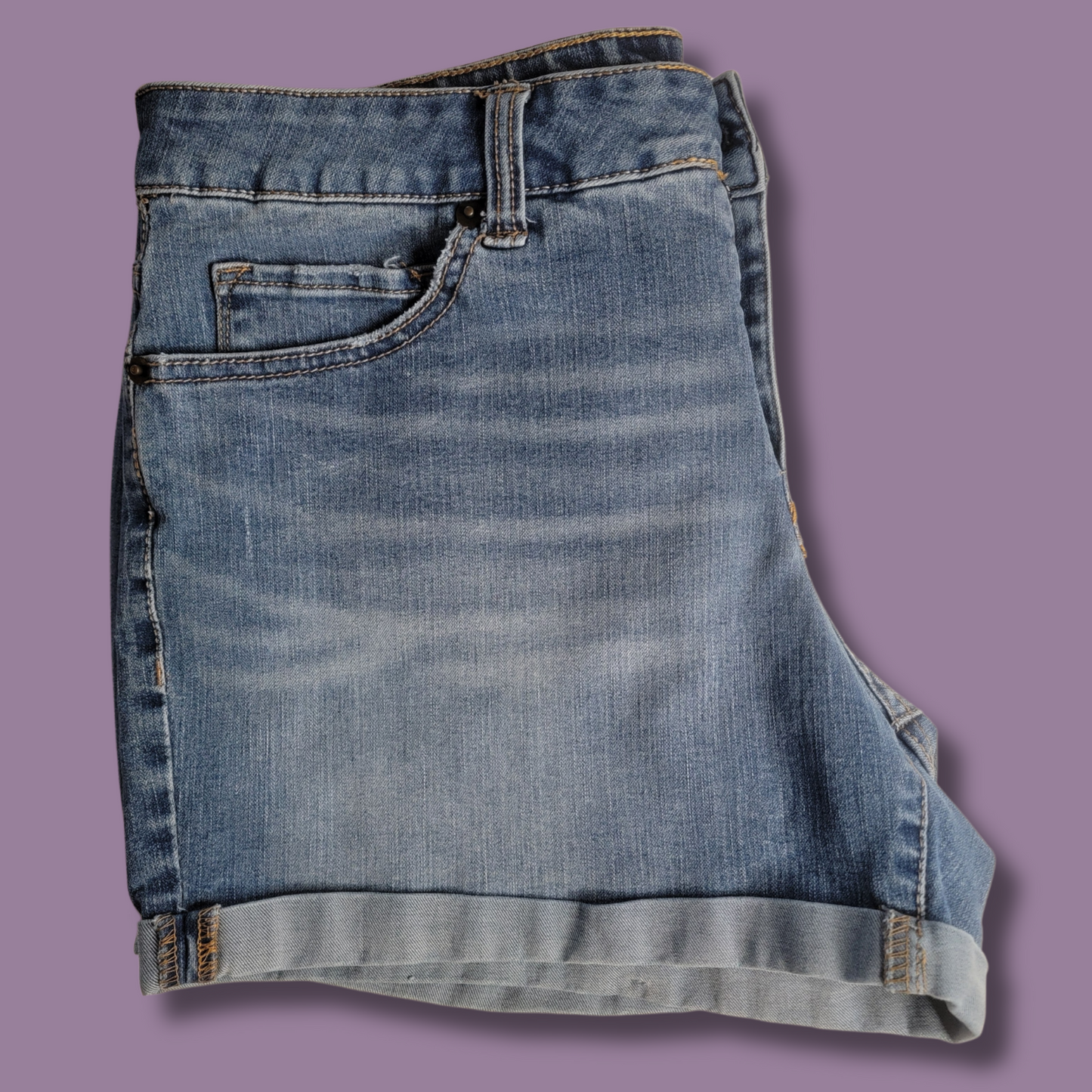 Time & Tru Jean Shorts, Blue Wash, Size 14