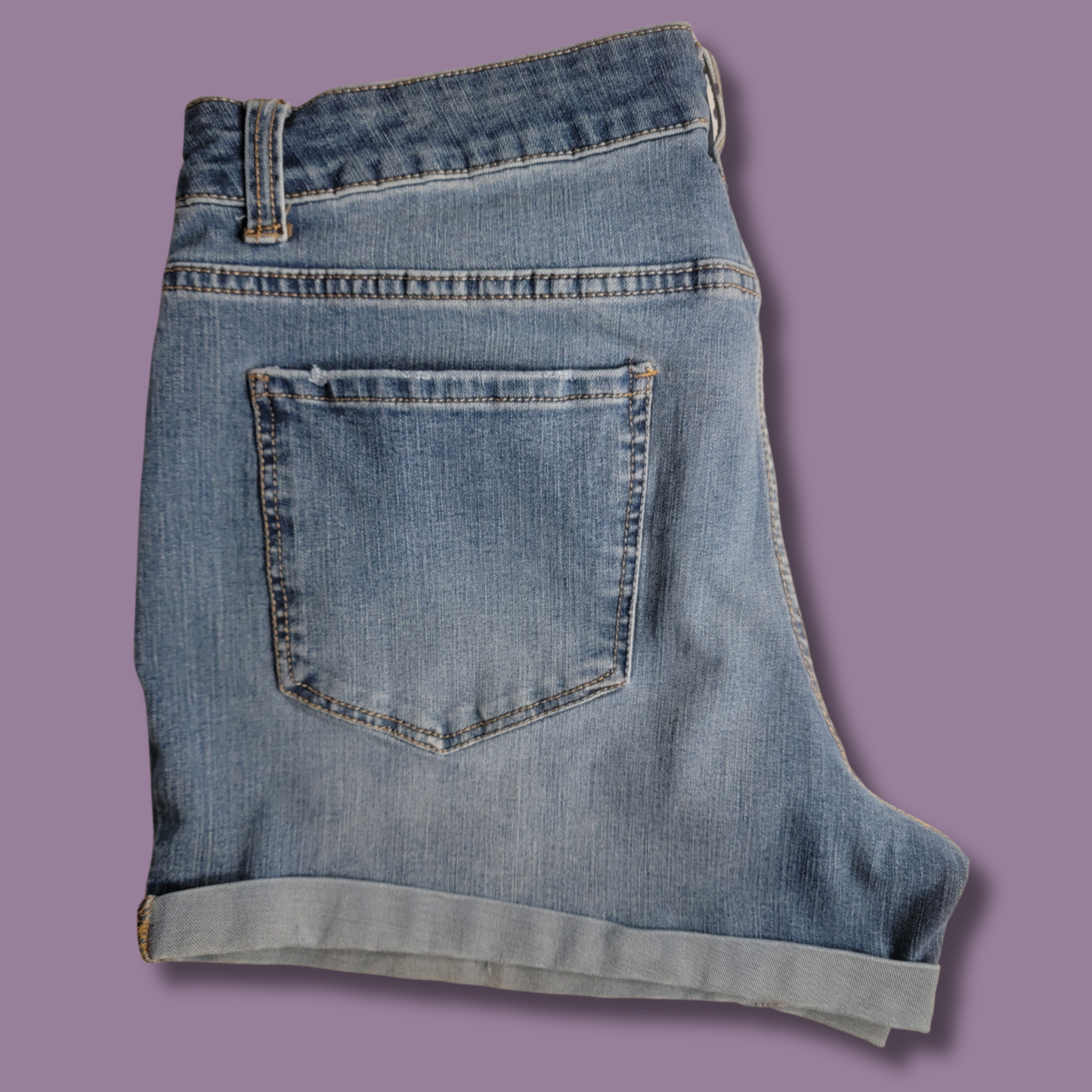 Time & Tru Jean Shorts, Blue Wash, Size 14