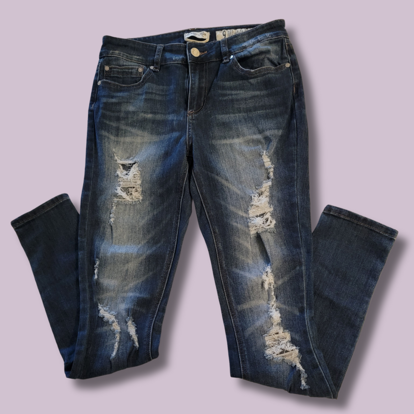 Indigo Rein, Distressed, Skinny Jeans, Size 9