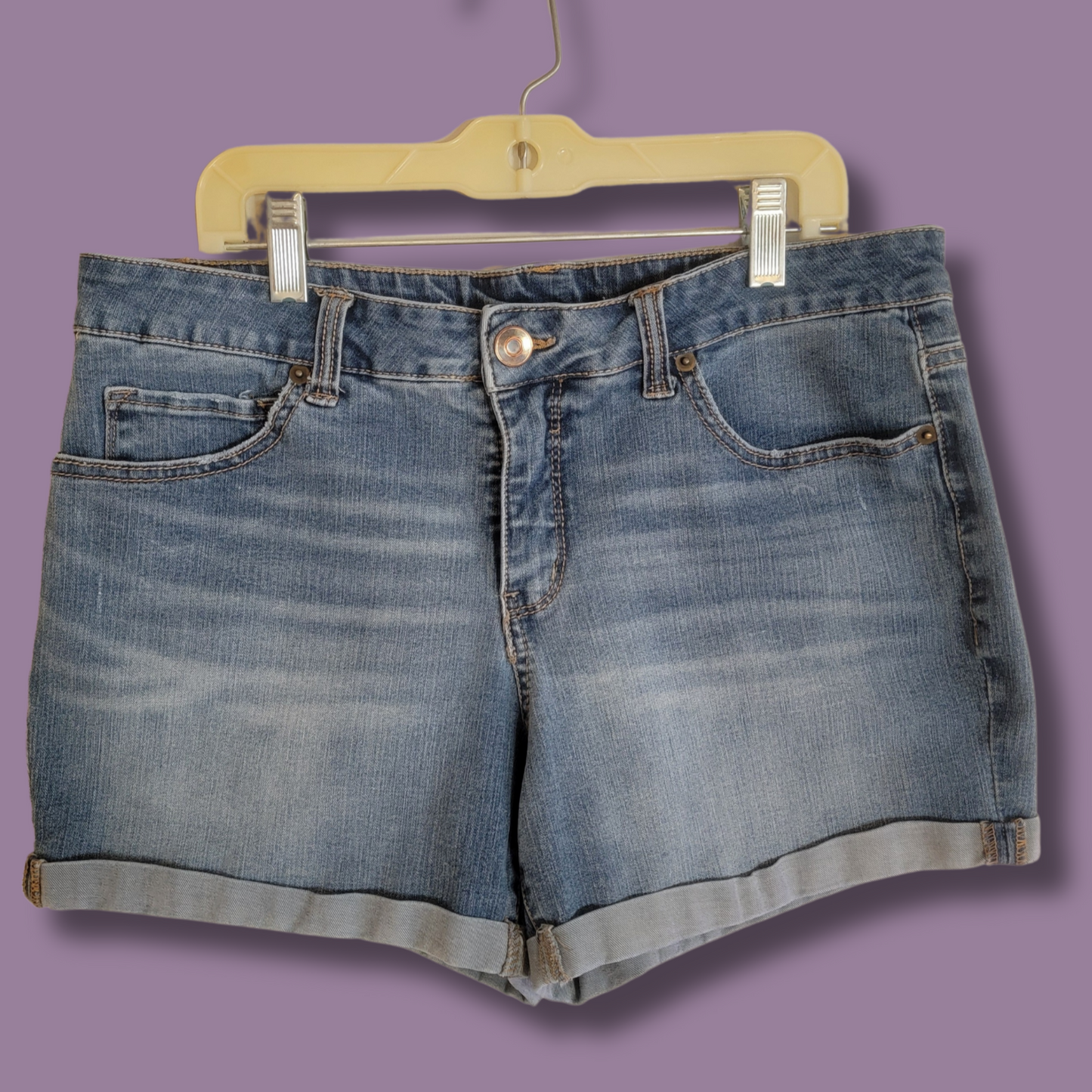 Time & Tru Jean Shorts, Blue Wash, Size 14